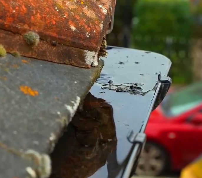 gutter flush service